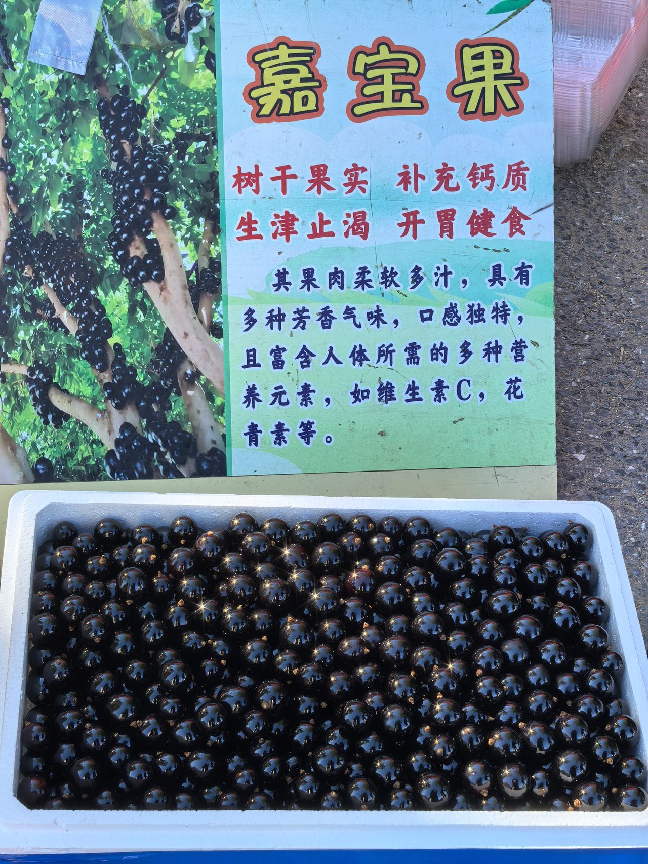 嘉宝果，这玩意我还是第一次见到。用手机拍了半天，这玩意表皮咋这么亮，像镜子一样反