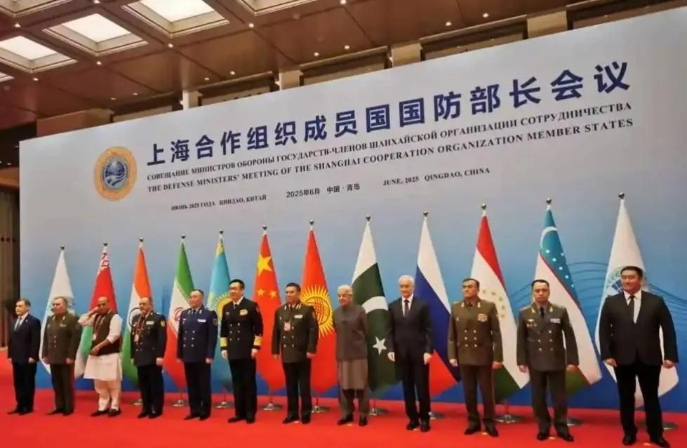 印度为什么要加入上合？常常与多数成员国唱反调。印度当下成为上合组织的“搅屎棍”，