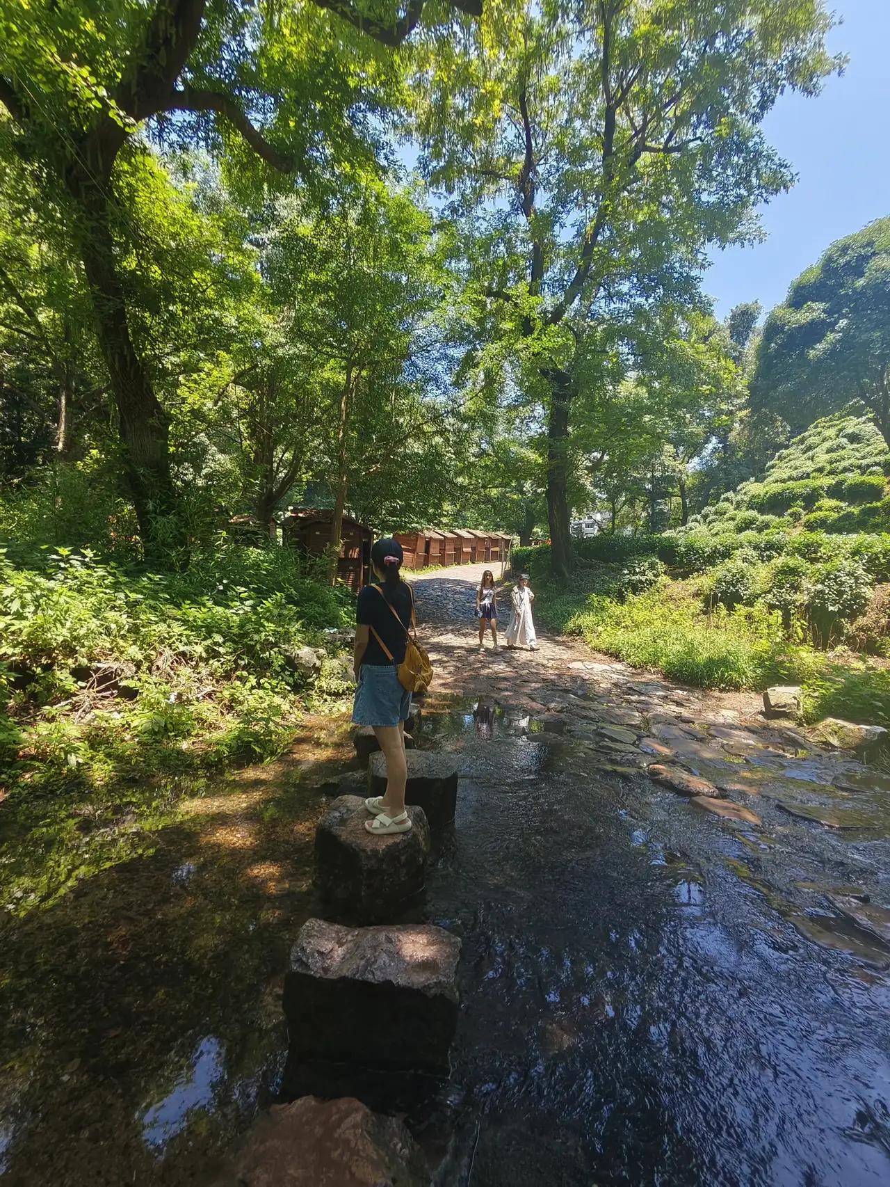 杭州九溪十八涧历来是从九溪十八涧穿过不但可以游览这里的美景还能一路闻桂花香看名人