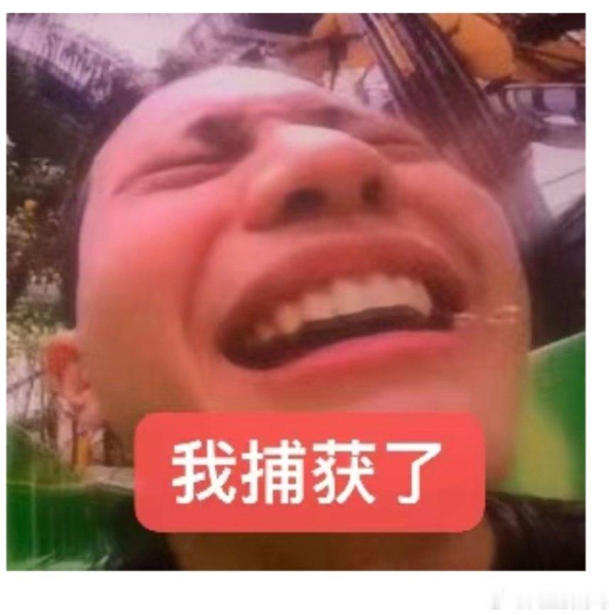 又想把牛马挂天上吊着打了