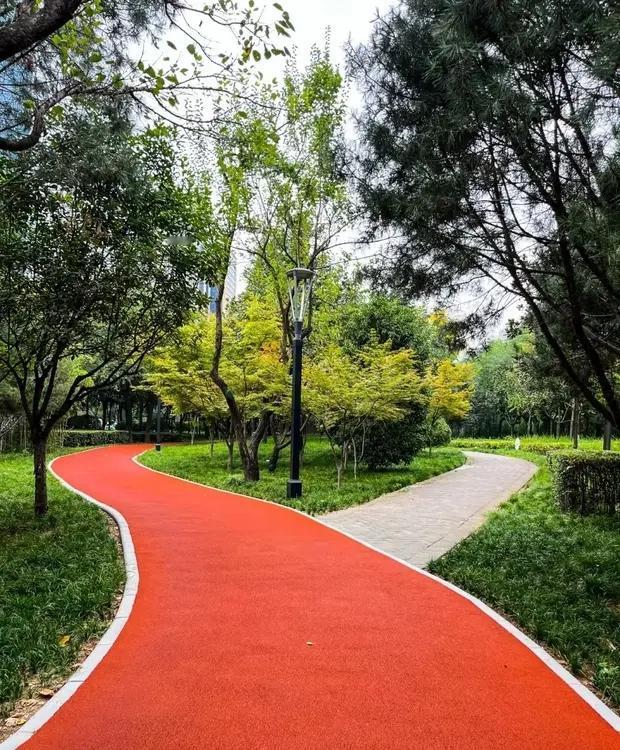 坚持下去，才是跑步的王道。据统计，我国常年跑步的总人数在7000