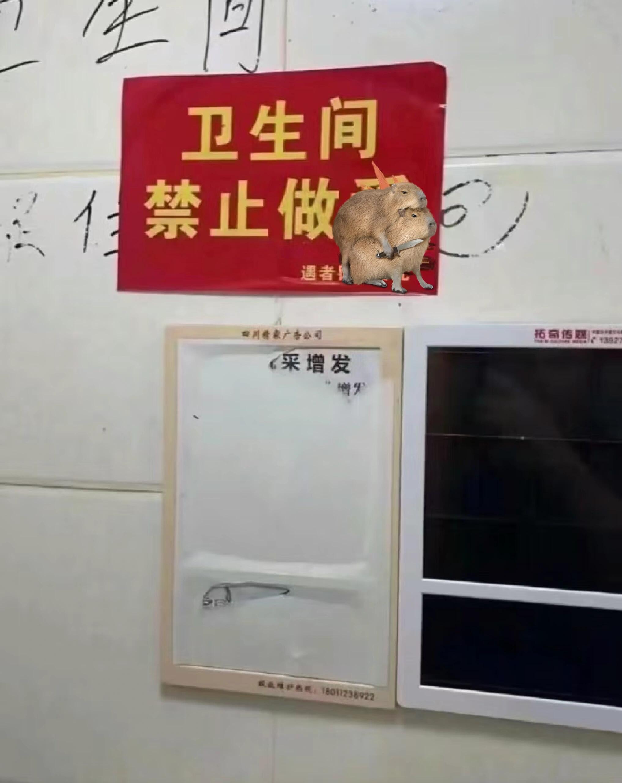 每一个离谱规定背后都有一个离谱的故事