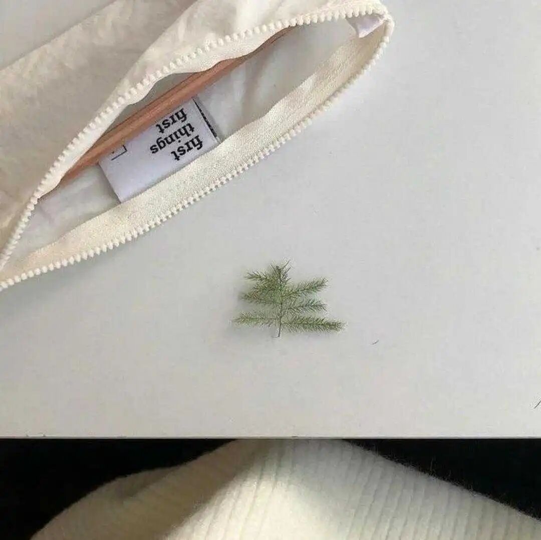 𝙒𝙚𝘾𝙝𝙖𝙩丨ins氛围感背景图专栏·精选壁纸分享
