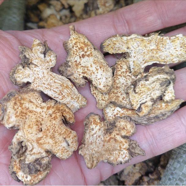 阳痿早泄——送你一个【断根方】，我用了30多年，帮过无数人！各位朋