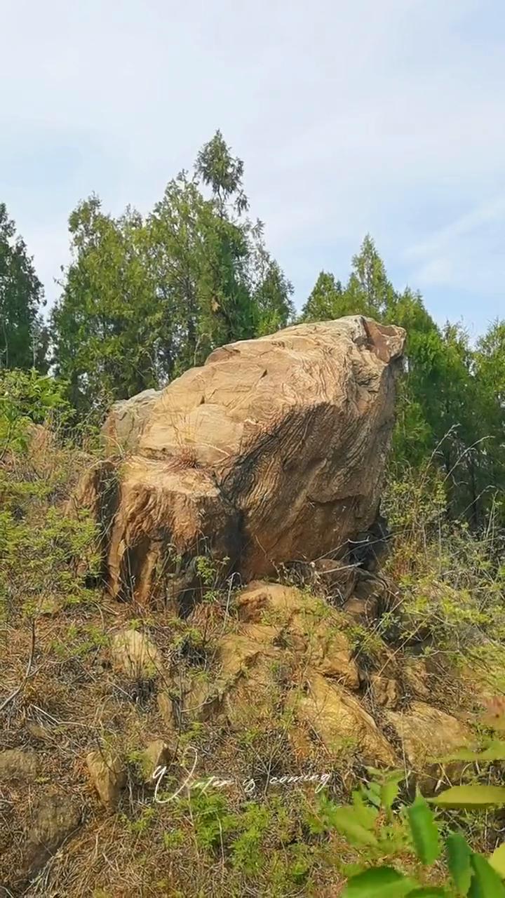 我想翻过这座山，星星照亮我的芦苇，哦呀哦呀。