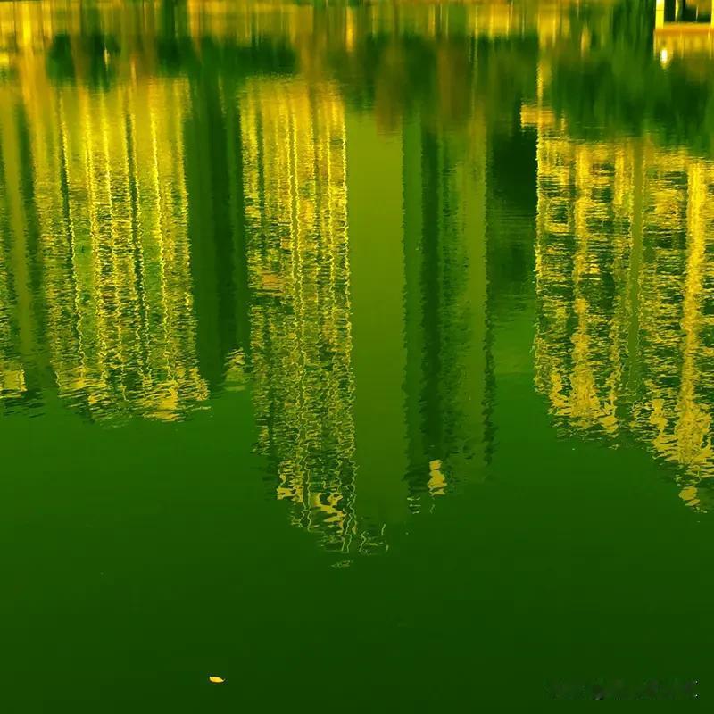 广西南宁真正的优势可不少。气候上，南宁属亚热带季风气候，阳光充足，雨量充沛，年平