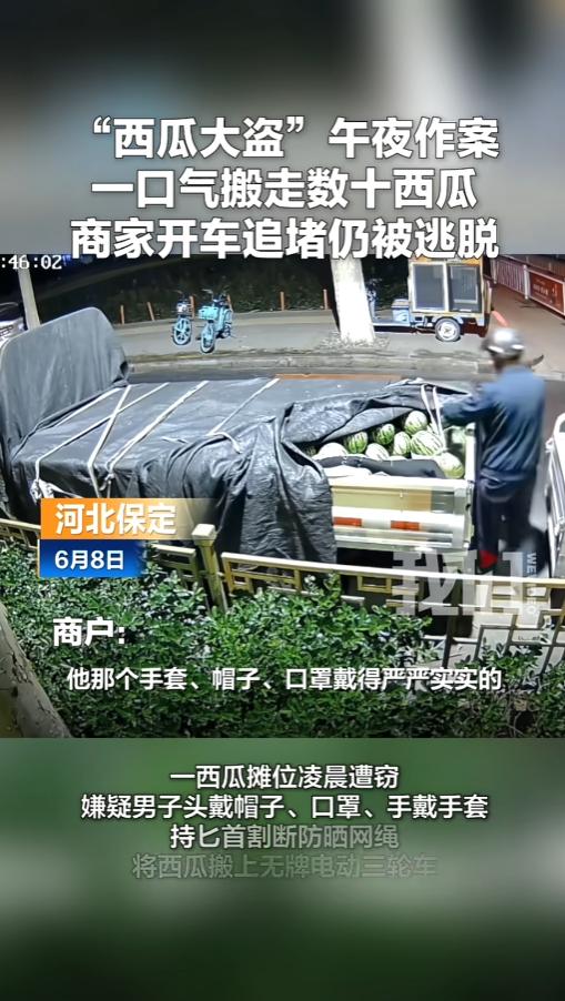“这是进货来了？”6月8日报道，河北保定，一西瓜商贩把车停在路边，没想到半夜却遭