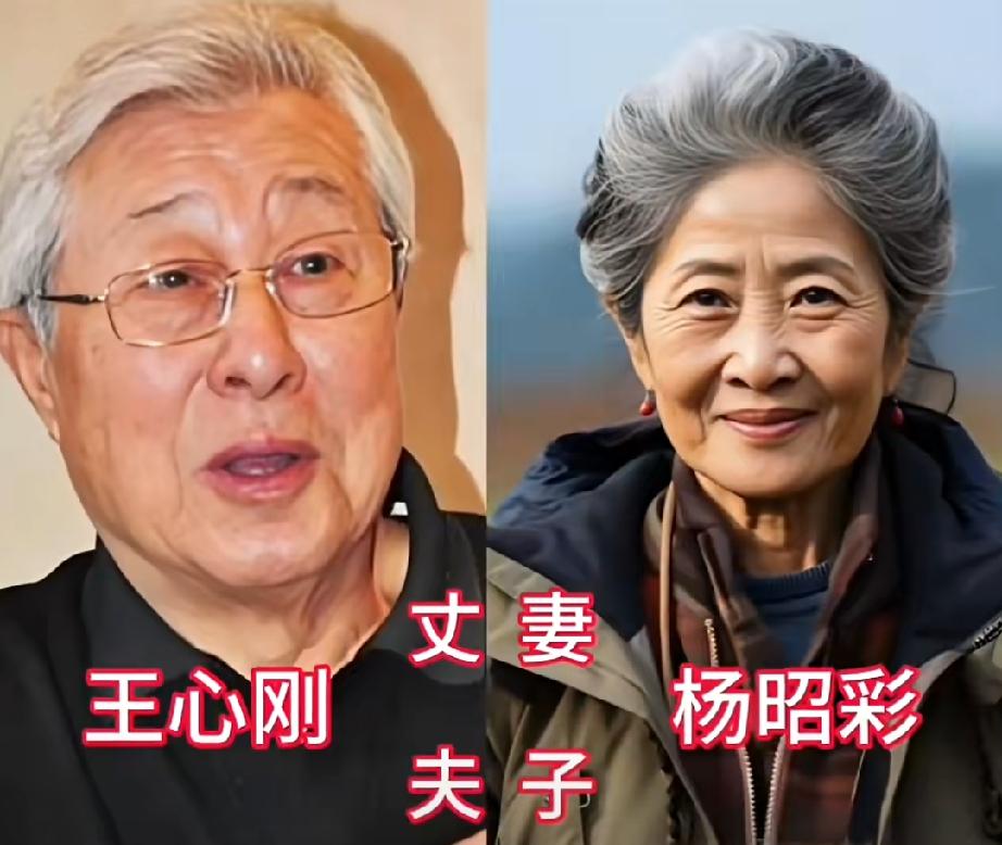 盘点四对老牌经典明星夫妻，横跨内地与港圈王心刚杨昭彩、汪宝生姜黎黎、陈百祥黄杏