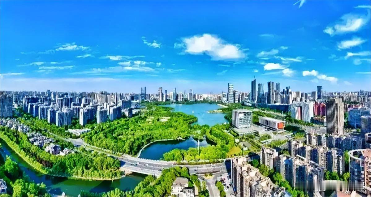 合肥用了十年，把一颗芯片种子养成了全球第四。长鑫科技现在卡在DRAM超级周期