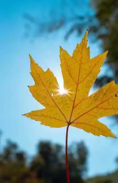 在人生的旅途中，我们常常忙于照顾他人、追求目标，忽略了最重要的那个人——自己。.