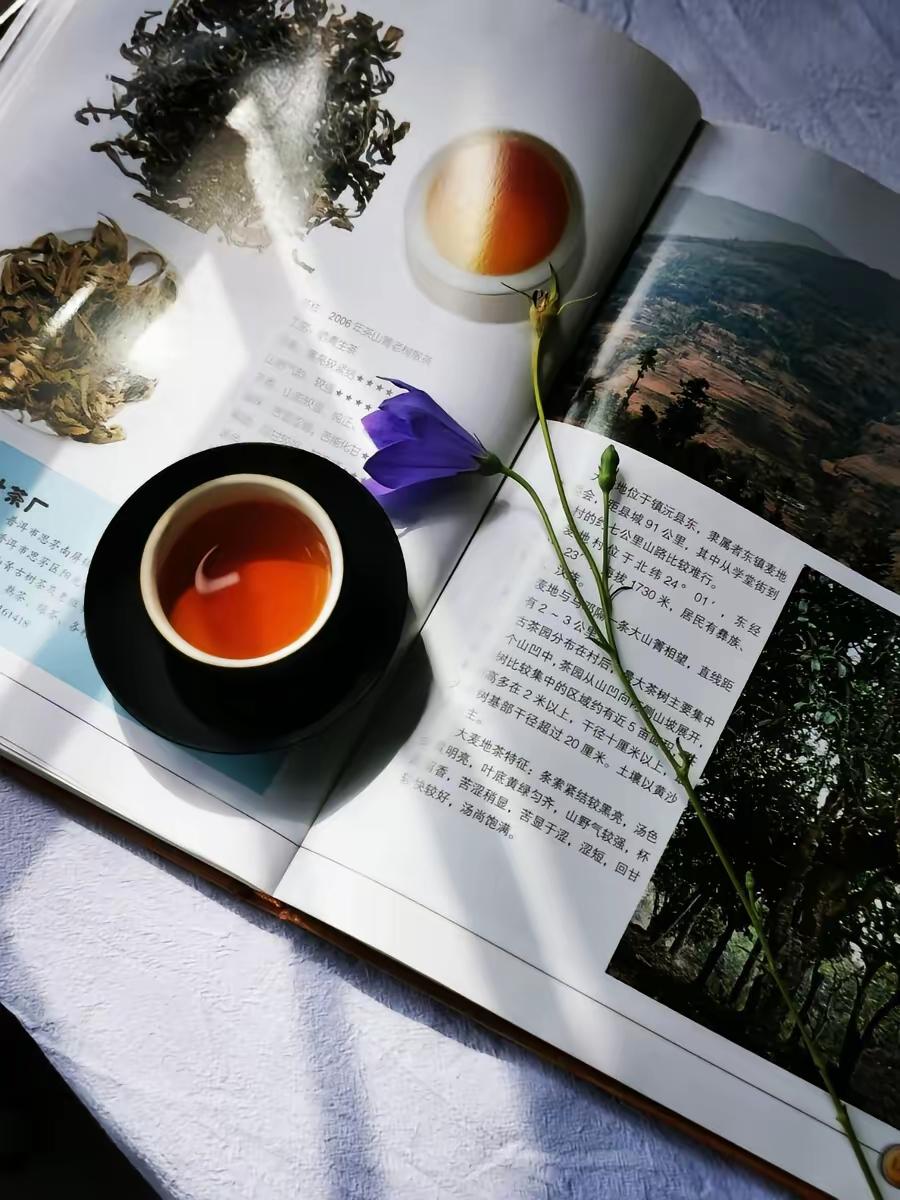 一位经济学家说：“一旦发生战争，银行存款大概就没了。历史表明，战争最先失灵的是金