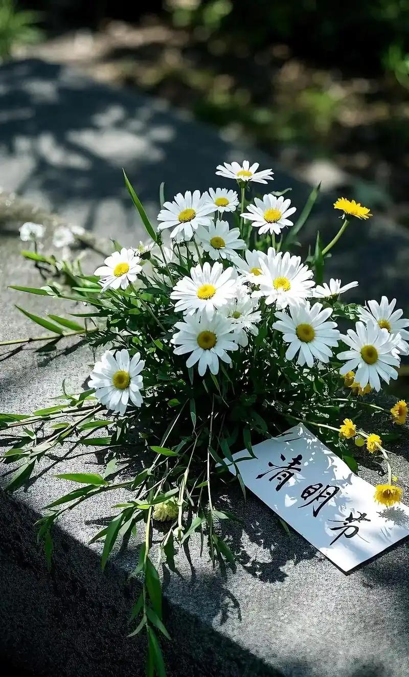 清明才懂：父母在，亲戚是一家；父母走，亲戚是路人今儿清明，回老家扫墓。站在