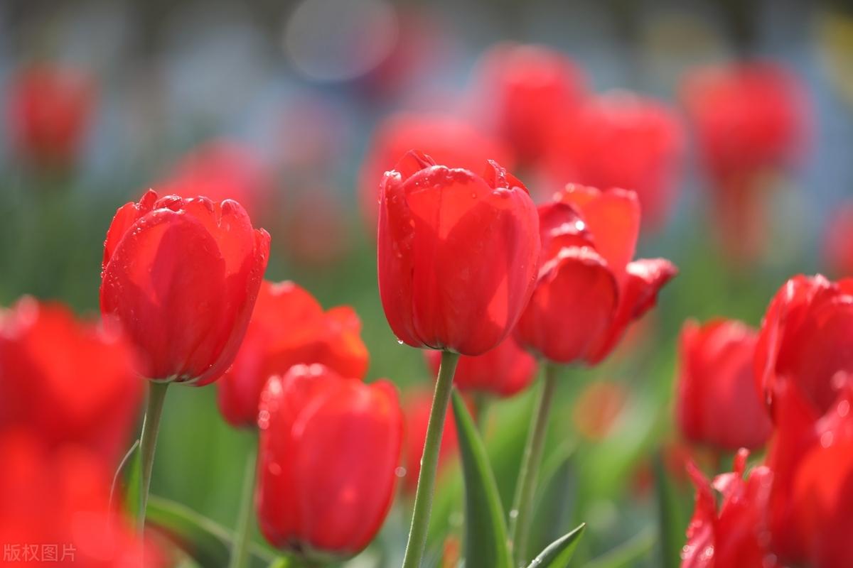 人生没有一条路是白走的。每个不满意的现在，都有个不努力的曾经。一个人至少拥有一个