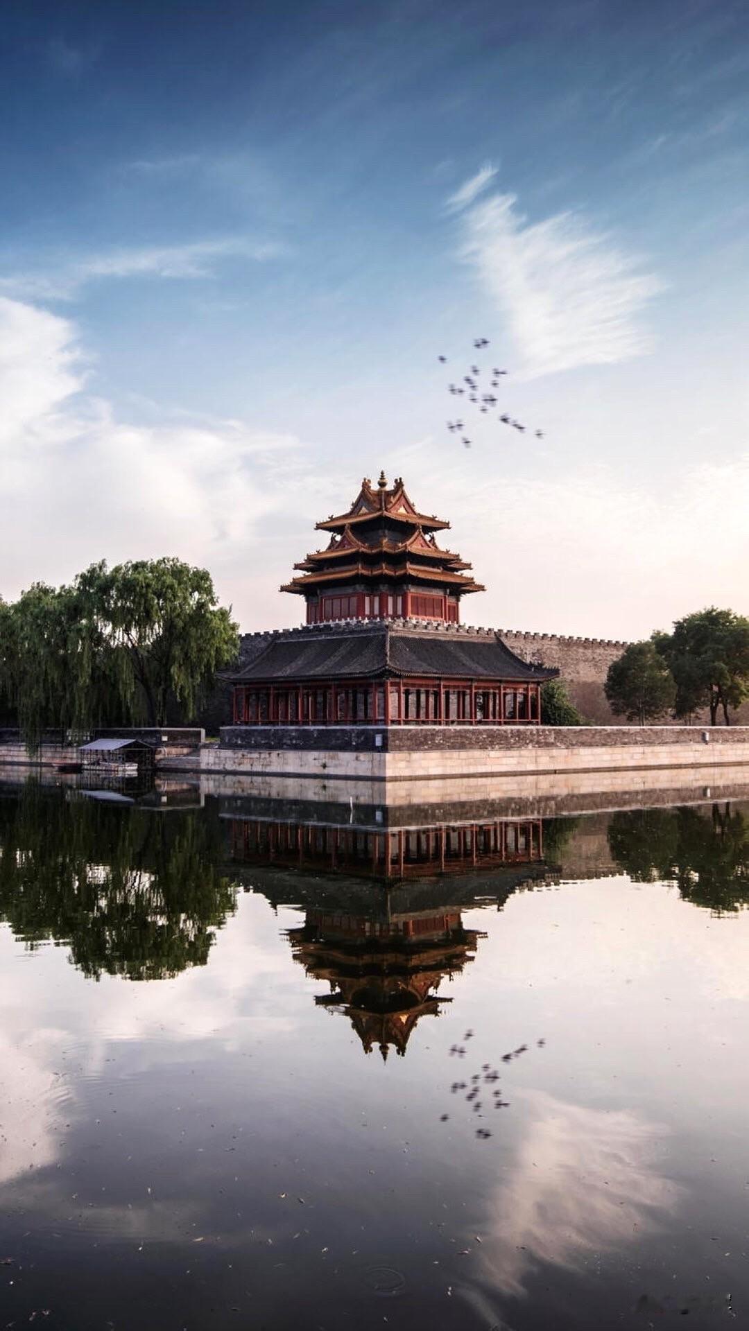 今天我同学说，你非要让你儿子去北京干吗？就你家的条件，如果在咱们这儿那也是很好的