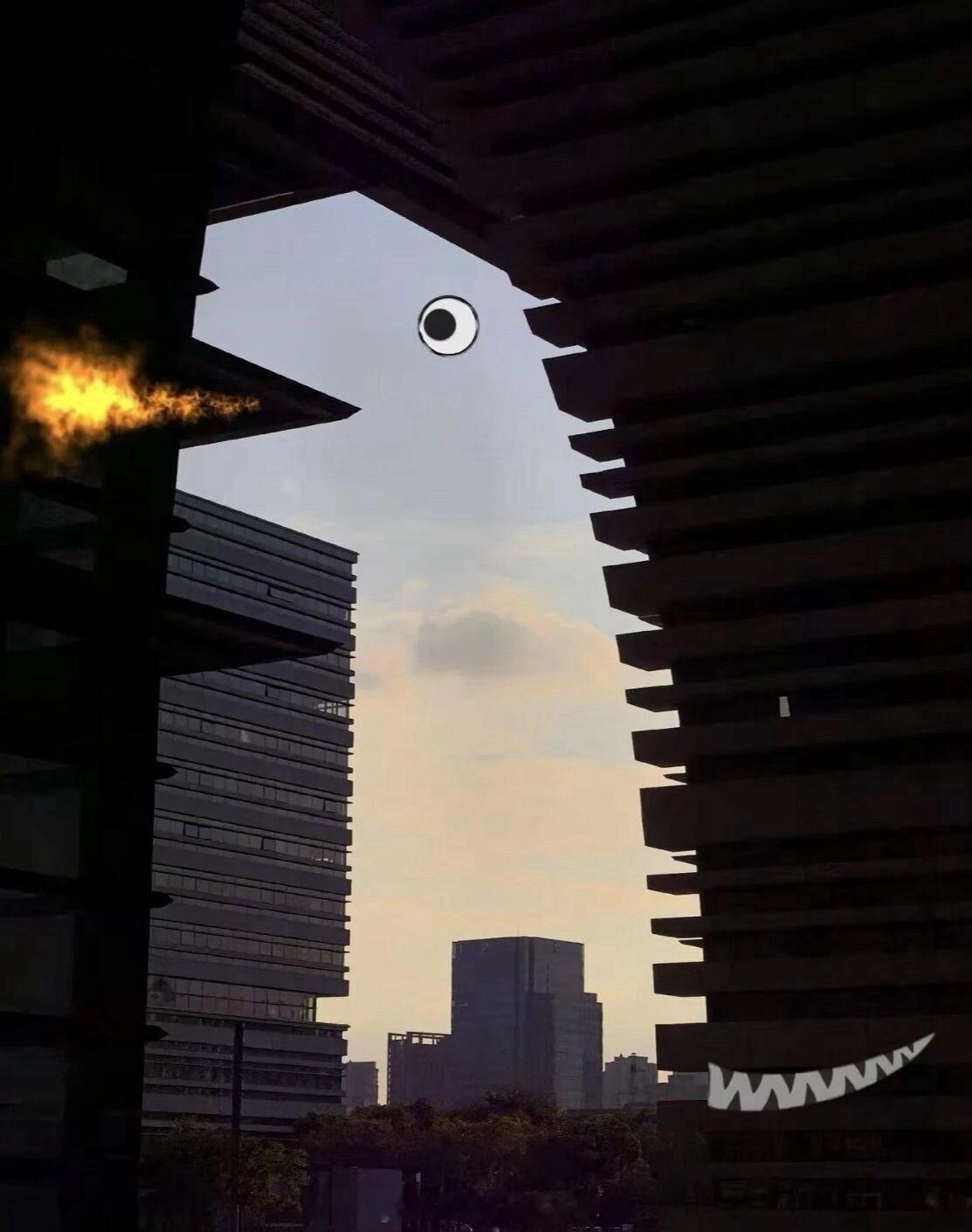 恐龙来了​​​