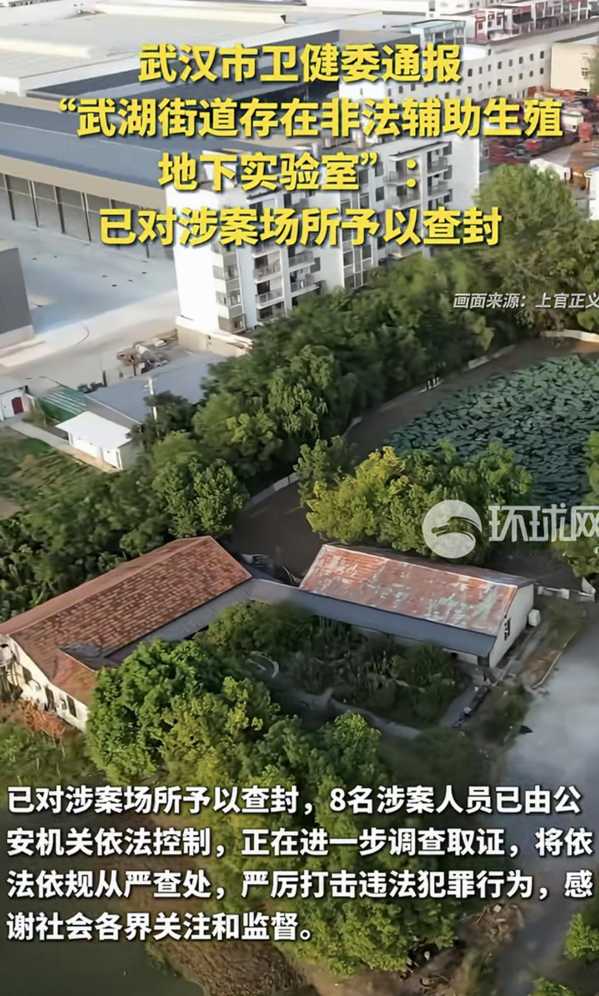 🔥大快人心！武汉查封非法辅助生殖黑实验室8人已落网！太离谱了！原本是帮不孕家庭解决生育难题、圆育儿