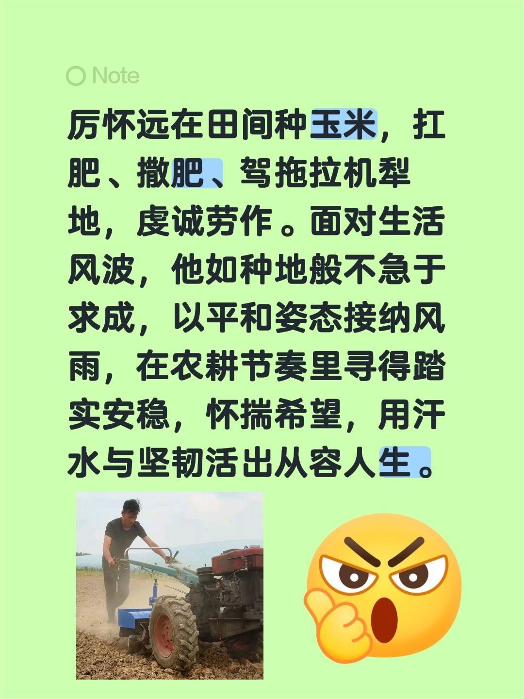 厉怀远在田间种玉米，扛肥、撒肥、驾拖拉机犁地，虔诚劳作。面对生活风波，他如种地般
