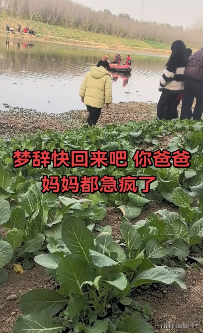 孩子快回来吧，你爸你妈都急疯了！梦辞这名字有虚无缥缈的感觉，这孩子好可怜不知受到
