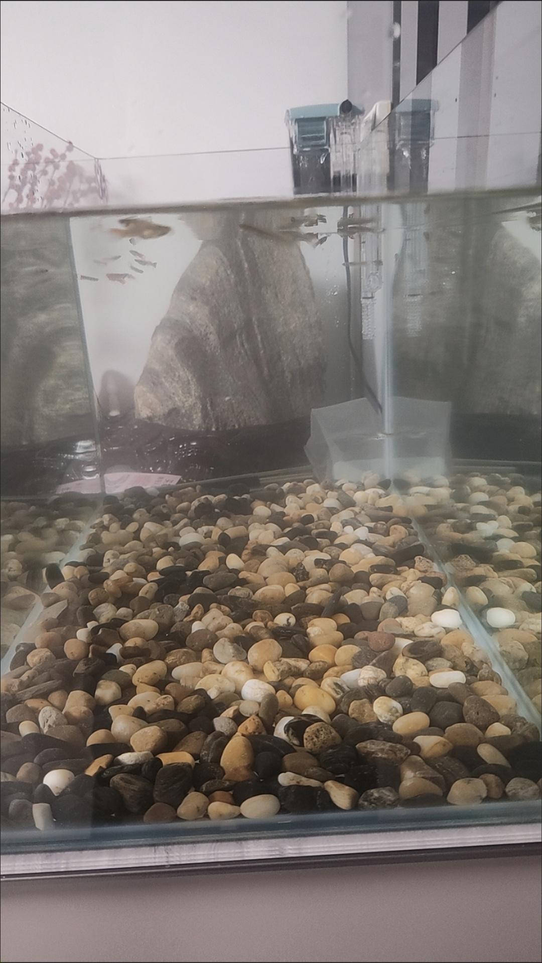 倘若穿越到三国，我最愿意追随刘备。他出身平凡却心怀天下，待人宽厚仁义，从不恃强凌
