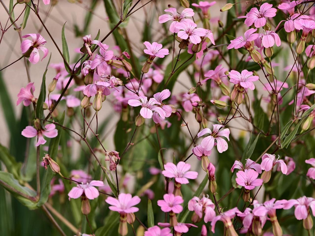 房子和股票，我选择股票了！！我是长期热衷买房的人，现在终于转变观念了！每天花