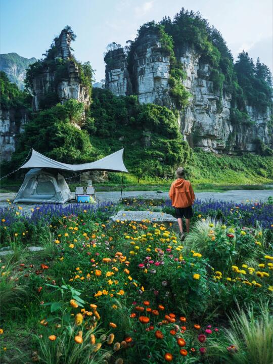 花海露营、峡谷徒步！闯入现实版“莫奈花园”