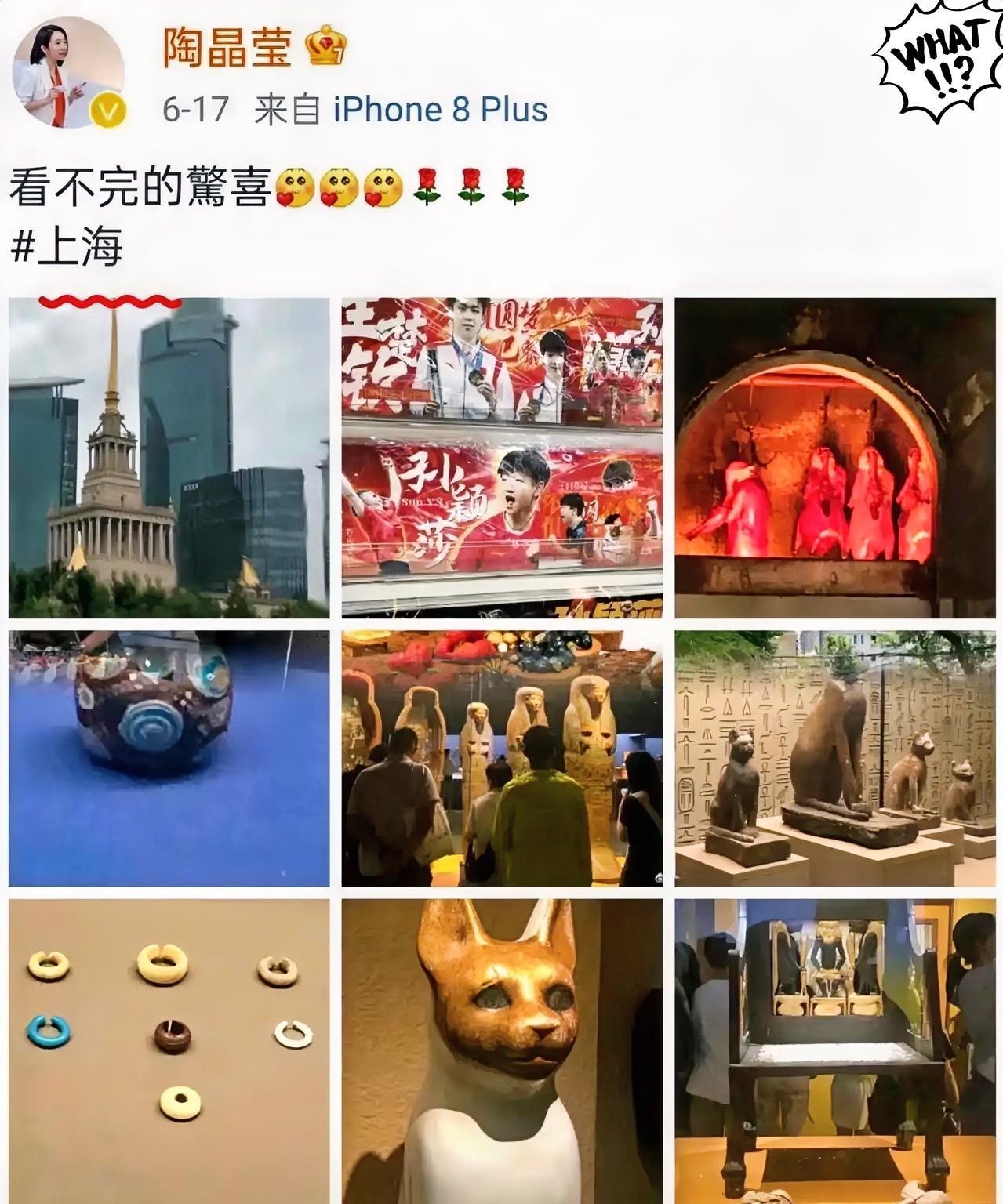 陶晶莹上海“打卡”翻车！曾抹黑大陆、公开悼念安倍晋三的陶晶莹，近日现身上海，还