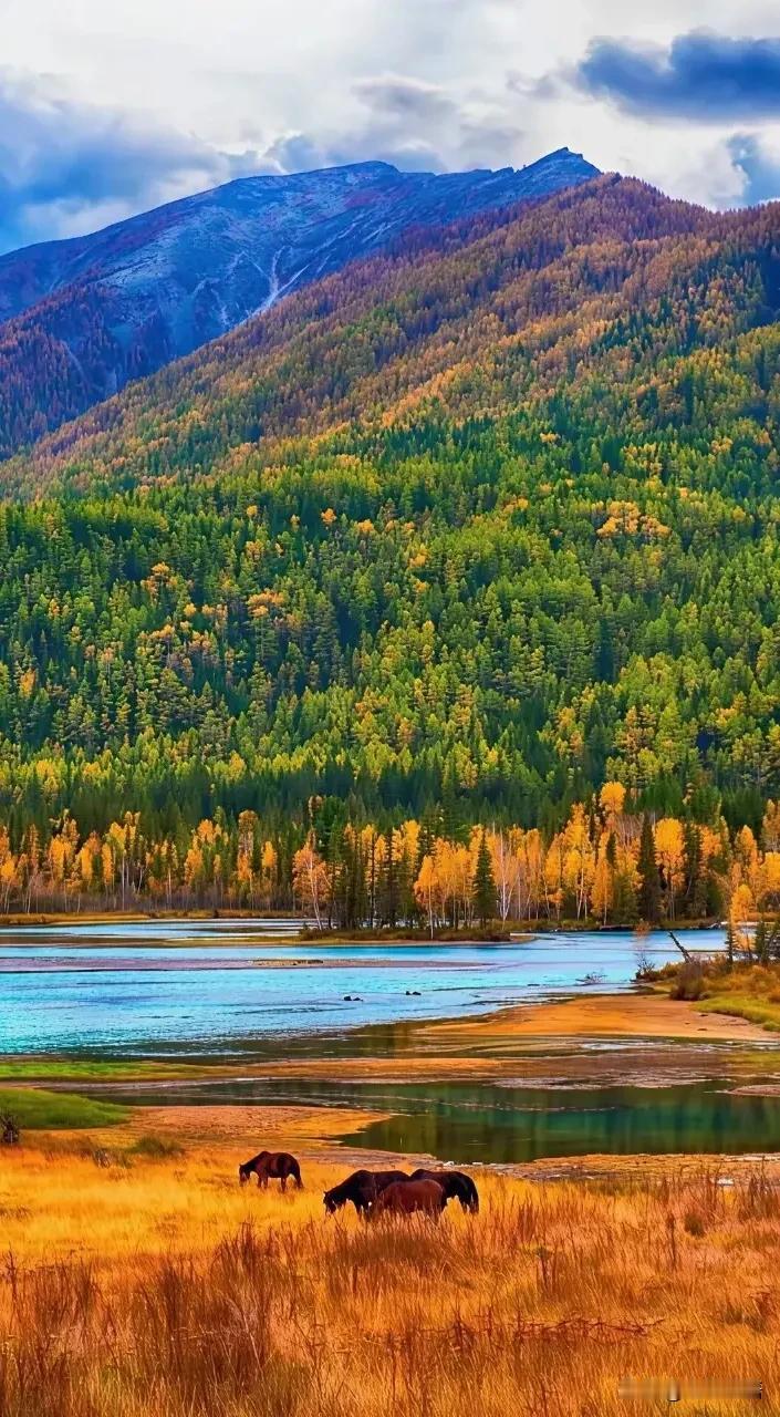 复旦大学的梁永安教授说：“人到了六十多岁，能月月领着养老金，最明智且最该练