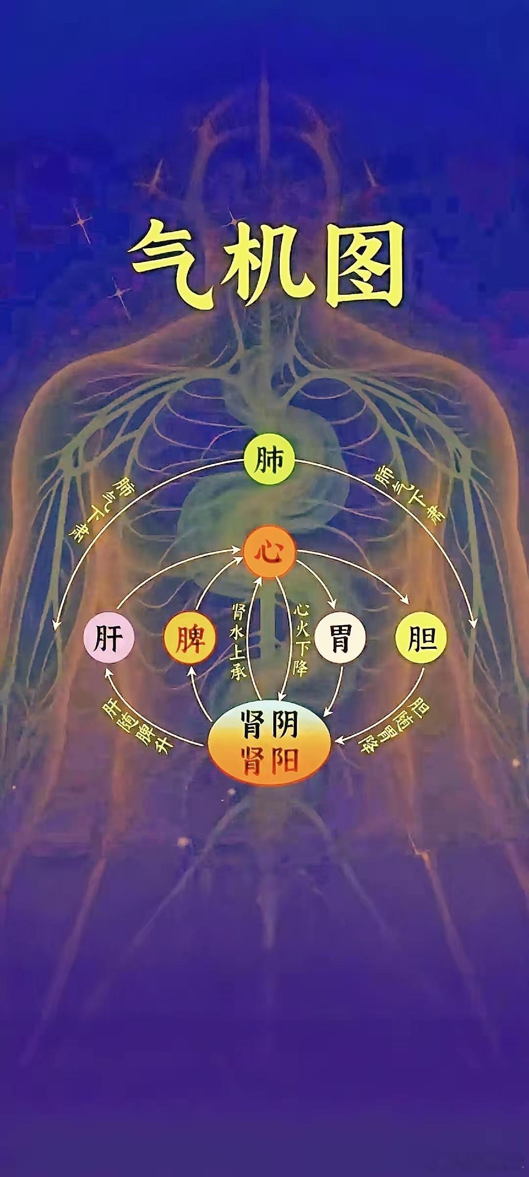 “一气周流，土枢四象”理论应用黄元御的这一理论，其伟大之处就在于它极强的实践性。