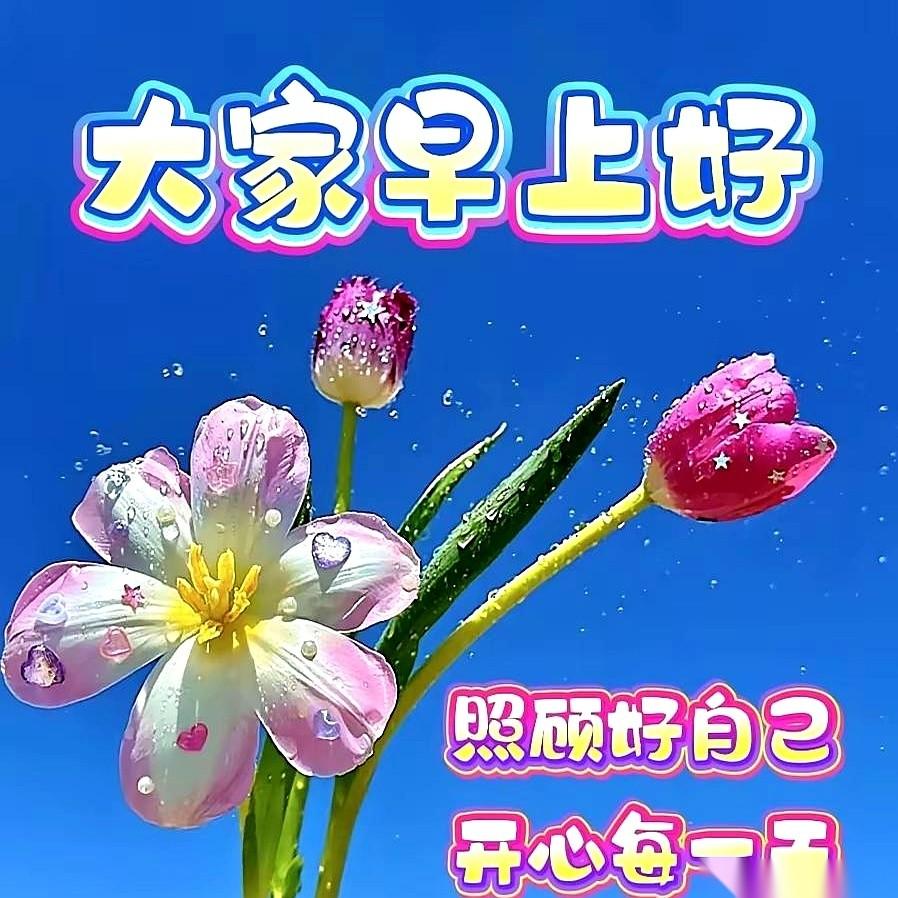 早上6点，“元气满满的一天！”这条消息，准时在三百人的工作群里炸开。手机蓝光，