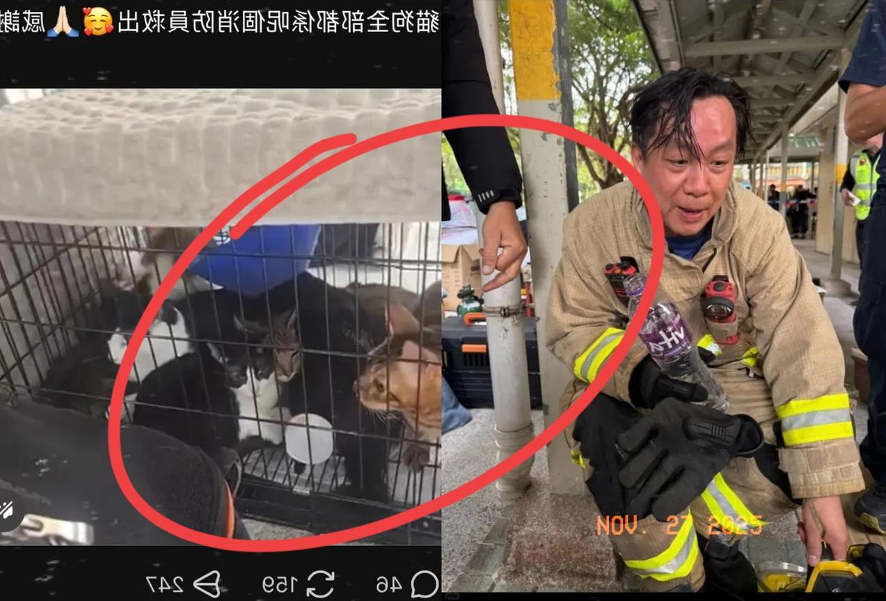 不知道大家有没有留意，香港救灾现场这个细节太戳心了！消防员冒着浓烟救人时