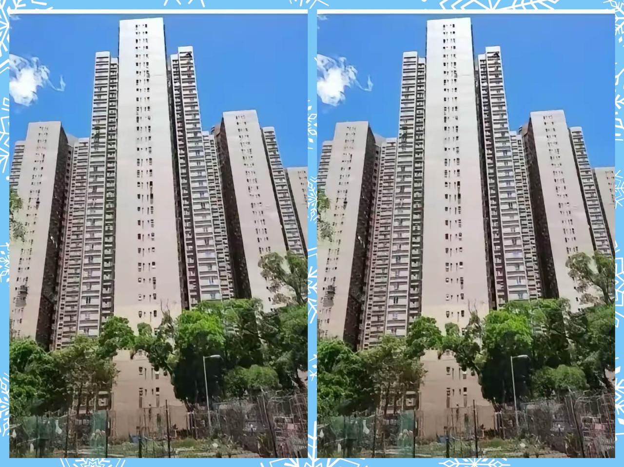 香港大埔8栋楼，没烧毁房子之前，外观漂亮，　　楼层高达30多层，而且每层里面