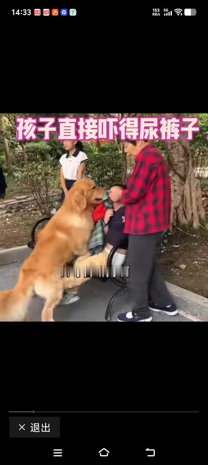 狗主人不出现，不栓绳缺德，那个老人怎么就不把孩子抱走离开啊，太急人了！一只大