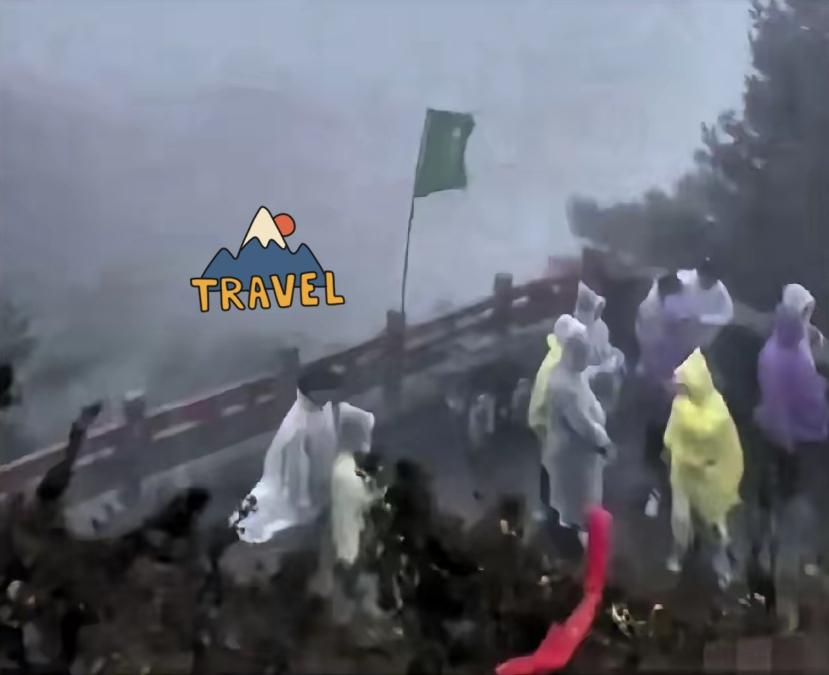 五一爬过泰山的人，大概率都忘不了那个深夜——突降大雨，山风刺骨，几万人困在半山腰