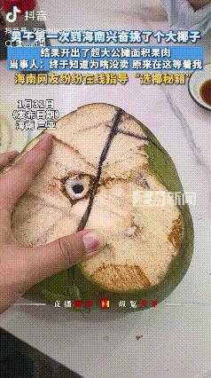 扎心了！海南三亚，男子第一次到海南，买椰子时他挑选了一个最大的，结果扎心了，竟然