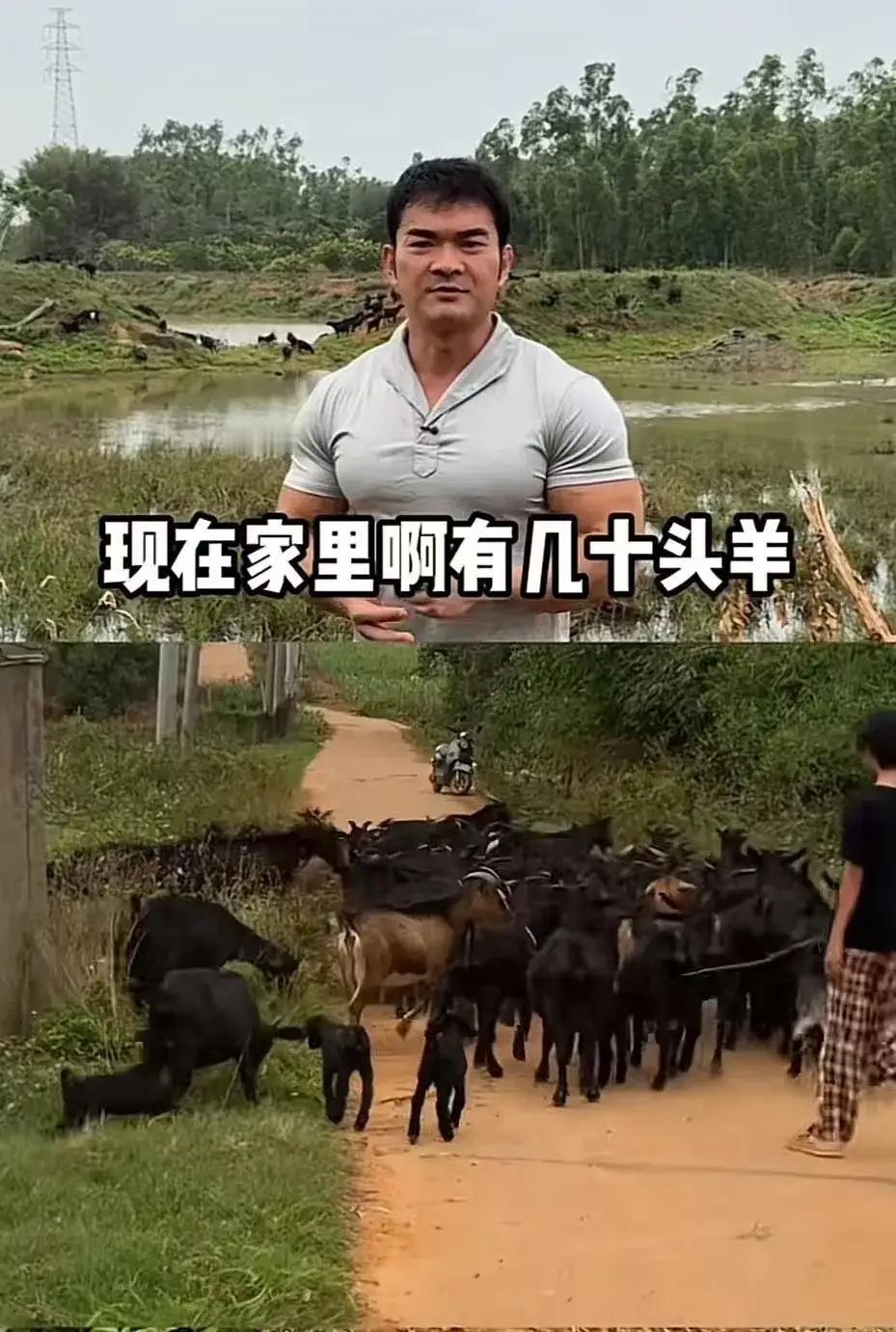 “泪目！”广东，丈夫意外去世，留下5个孩子，女子为了凑钱养孩子，恳求博主李维刚把