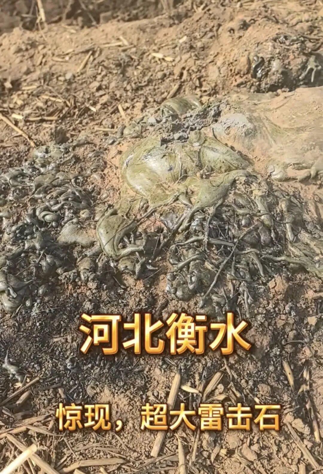 河北衡水安平县出了件稀罕事。一块大石头突然出现在麦田里，引来好多人围观。这件事最