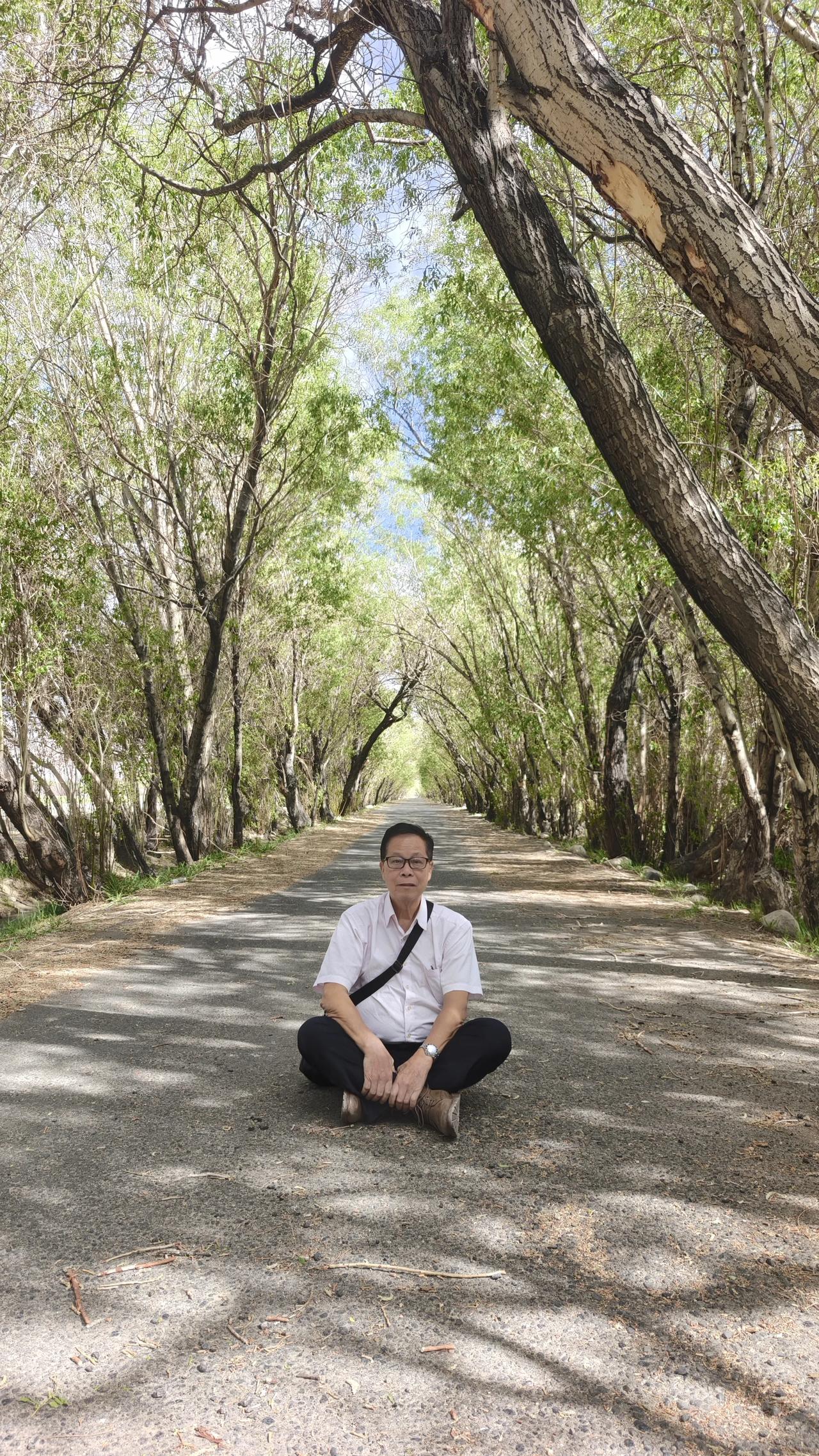 留一张图证明你去过的地方这就是我前天去过的地方，这张照片我是坐在胡杨树下拍的，这