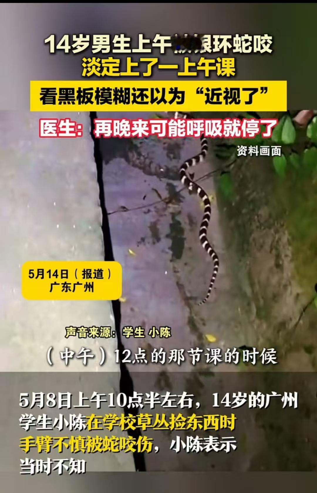 再过两个小时，恐怕人就真救不回来了。广州，一名14岁的学生，大上午就在学校被蛇咬