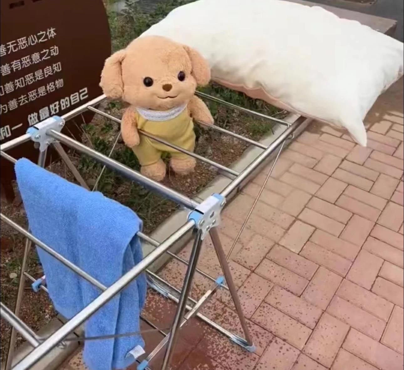 谁的手这么欠