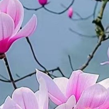 正能量无论是人静还是心静，都不是消极逃避，更不是得过且过，而是为了适应飞速发展的