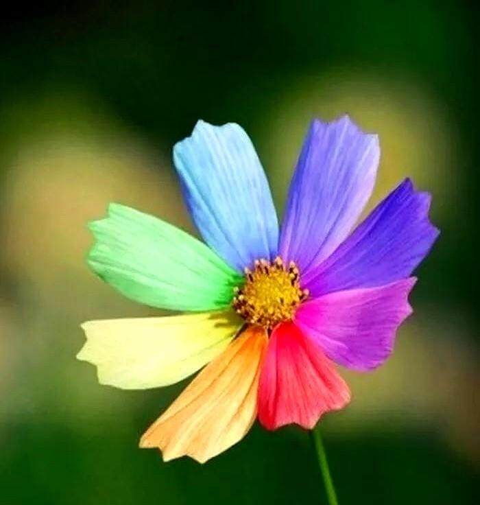 凡是写怎样怎样做能保证打麻将稳赢的文章都是骗人的。打麻将没有常胜将军，更不存在稳