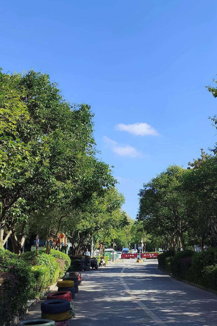 南京终于官宣出梅啦，简直谢天谢地！今年6月19日入梅，和常年一样；7月14日出梅