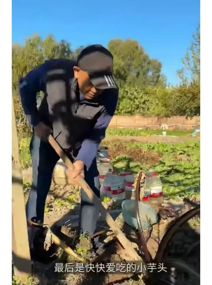 一觉睡醒，是不是全网都知道了。近日，梅婷在社交平台晒出日常，地点是她