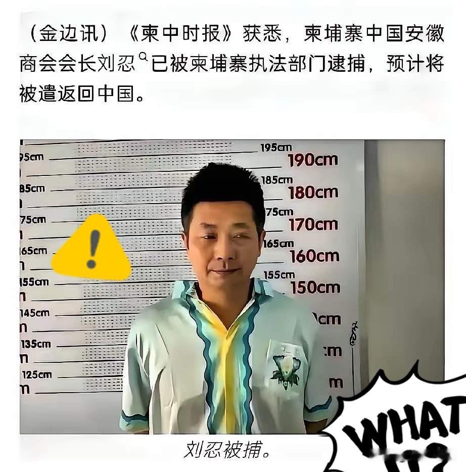 柬埔寨电诈内鬼落网！商会会长披着侨领外衣残害无数同胞最可怕的内鬼终于浮出水面