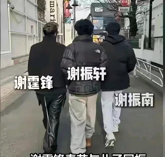 果然基因不会骗人，谢霆锋大儿子谢振轩小时候也不帅啊！这是谢振轩，小时候也不帅