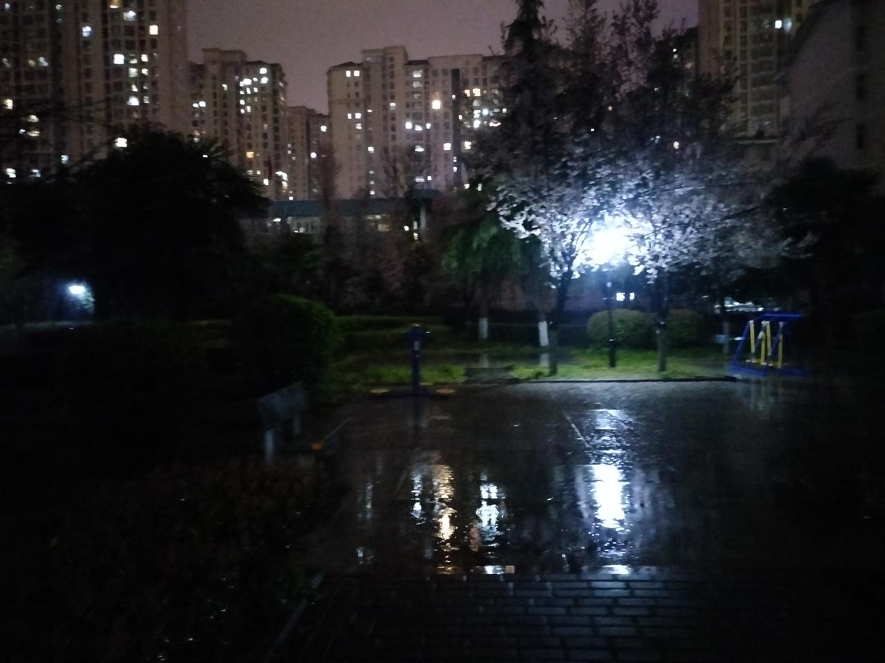 春雨古都洛阳今年的这场雨来的有些早，冬天的寒气还没散尽，夏天的小尾巴就露出