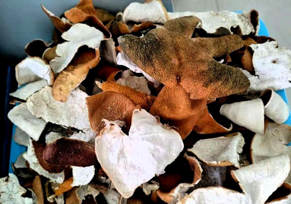 刚刷到个新闻，央视曝的，说有人拿晾了30天的桔子皮，当“陈皮”售卖