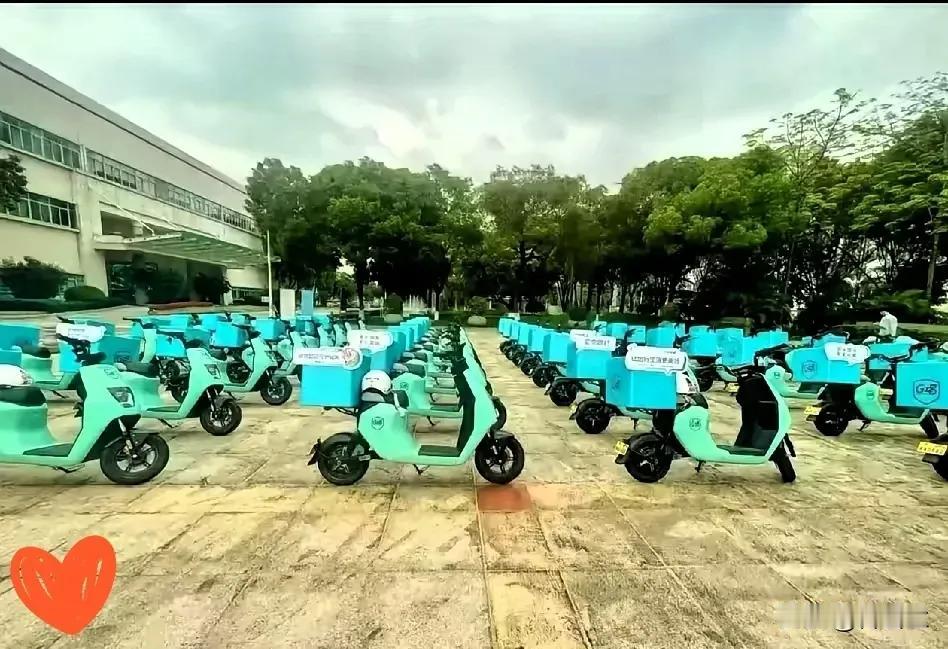 广东严查电动车不是一刀切，而是精细化治理的精准布局终于明白！广东最近严查电