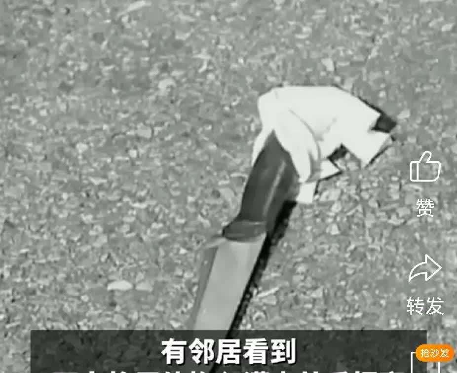 巴西这事儿，看得人浑身发冷！女子推开女儿房门，撞见男友和12岁女儿躺在床上，女儿