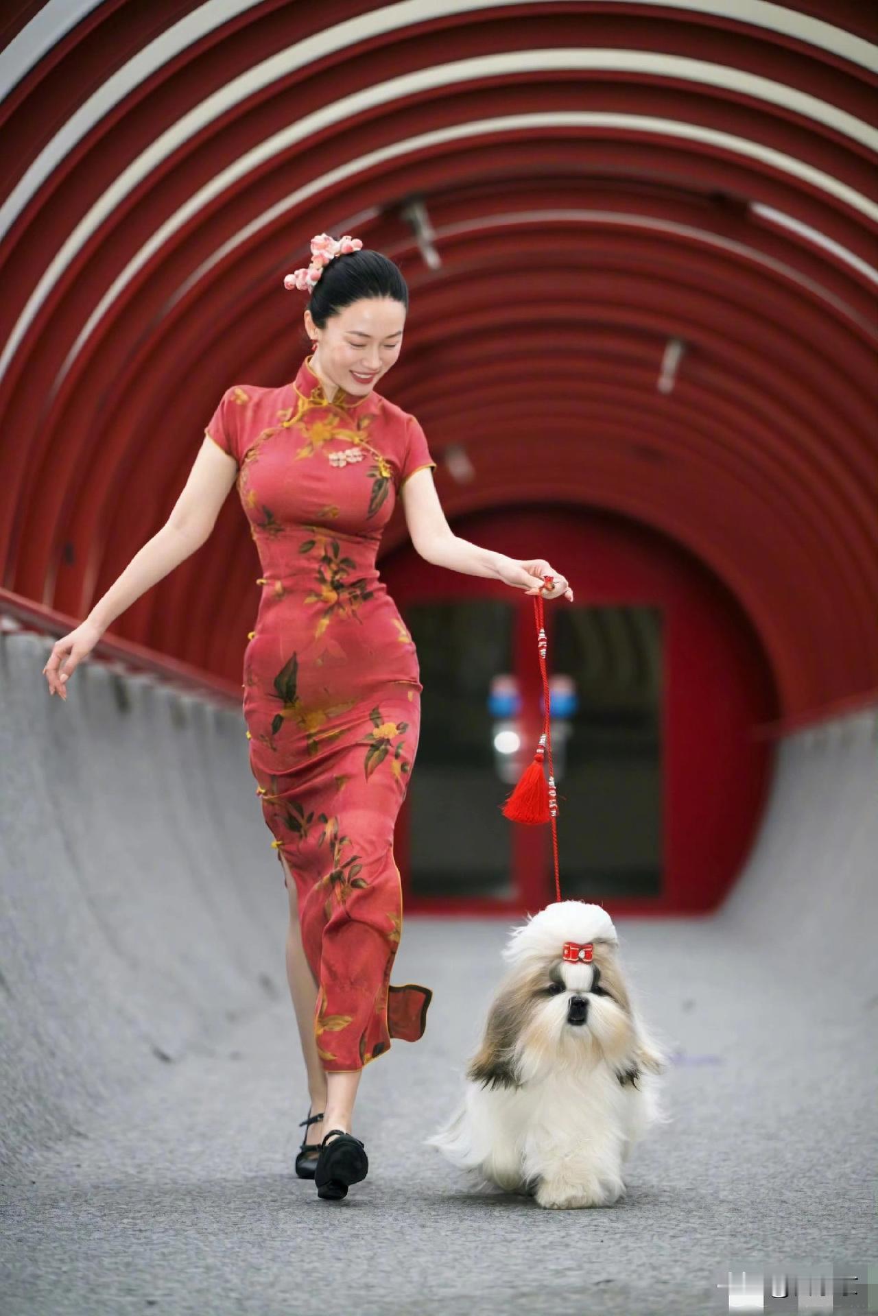 中国土狗逆袭欧洲百年大赛！霍思燕旗袍亮相震惊全场！太提气了！霍思燕带着自家西